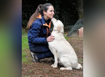 Hughie - macht ein Freundschaftsangebot