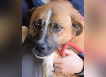 Sunitha - Drei Leben. Drei Chancen.