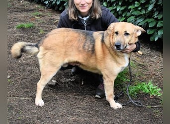 Kairo - möchte einfach nur genießen