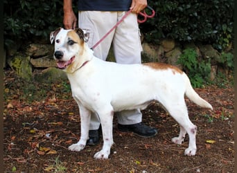 Argo - hungrig auf Leben und Er-Lebnisse