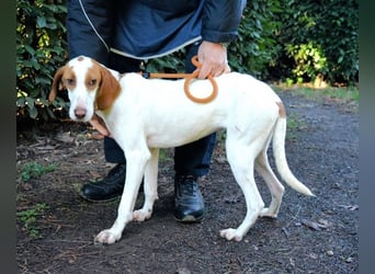 Samarie - Abenteuerlust und Kuschelzeit