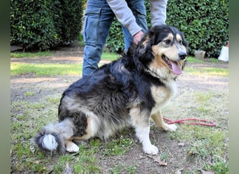Oliverio - ohne Anklage hinter Gittern