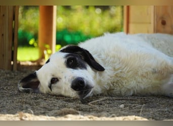 Marni - Bereit für ihr eigenes kleines Glück