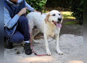 Kastore - Die Welt erkunden!