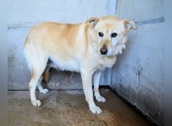Addison - lange sitzen sie schon da und haben es schwer