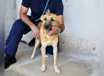 Osita - "Und wenn sie nicht weg sind.....