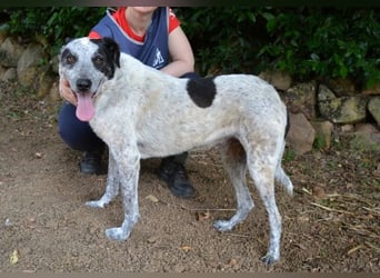 Medwin - Wo ist denn nun das wahre Leben?