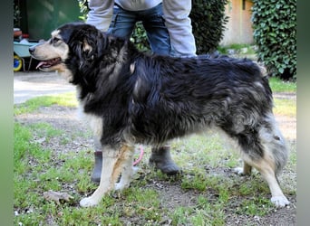 Oliverio - ohne Anklage hinter Gittern