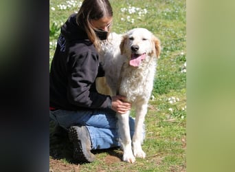 Kastore - Die Welt erkunden!