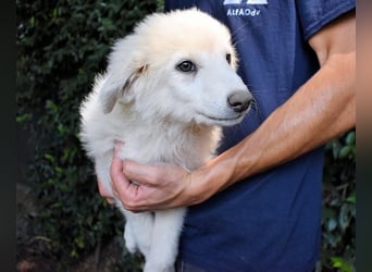 Florenz - bereit für das Abenteuer Leben