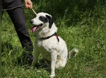 Marni - Bereit für ihr eigenes kleines Glück