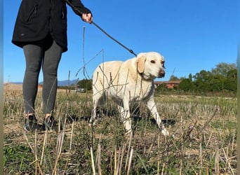 Patty - Vorsichtig auf den Pfoten, groß im Herzen