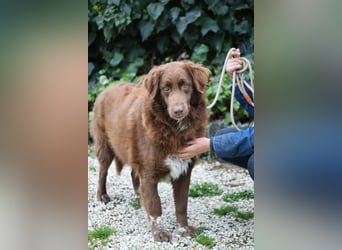 Beckey - Berufswunsch Prinzessin