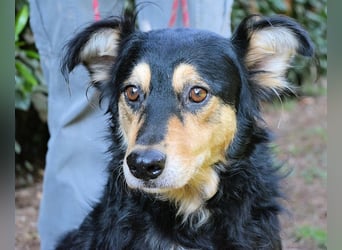 Daxter - wann darf sein Leben beginnen?