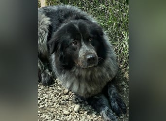 Olivia - mit sanften Schritten nach vorn