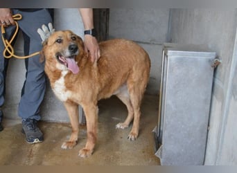 Kemp - Runder Rundum-Schatz