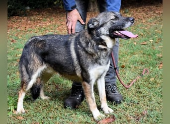 Silvana - im Eilschritt nach Hause?