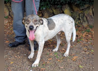 Helder - spricht für sich