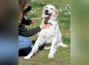 Kastore - Die Welt erkunden!