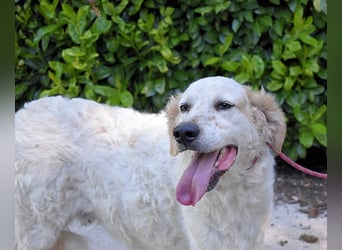 Kastore - Die Welt erkunden!