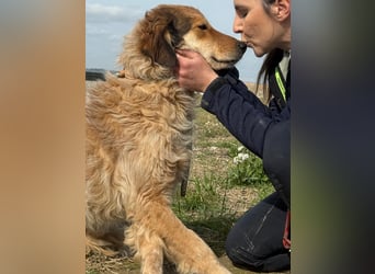 Ligorio - Zwölf, elf, zehn ... eins - Ligorio