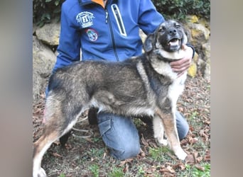 Silvana - im Eilschritt nach Hause?