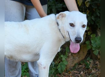 Dafnielle - Zukunft gesucht