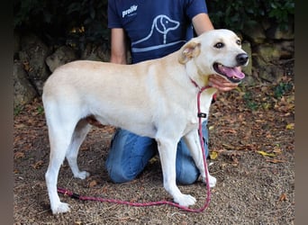 Hughie - macht ein Freundschaftsangebot