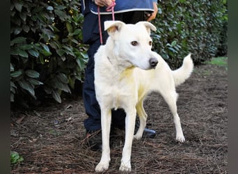 Dafnielle - Zukunft gesucht