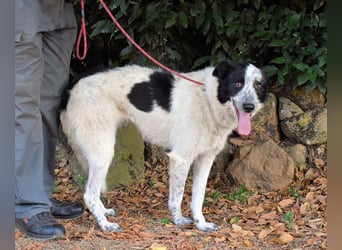 Jasmine - Wer nicht neugierig ist, erfährt nichts!