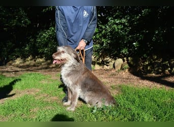 Minnie - Nach 7 Jahren Unglück endlich 7 Jahre Glück?