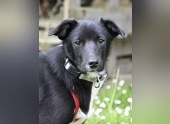 Flaviano - Wenn Du mich holst, bleib ich bei Dir