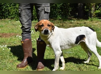 Kamyll - Findet er Sie...