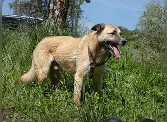 Life - Life will mehr vom Leben - und das zeigt er deutlich!