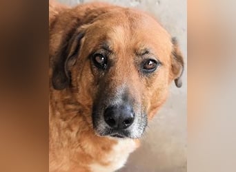 Kemp - Runder Rundum-Schatz