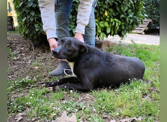 Rhino - NOTFALL !!! - Wenn man nicht auffällt, geht man unter