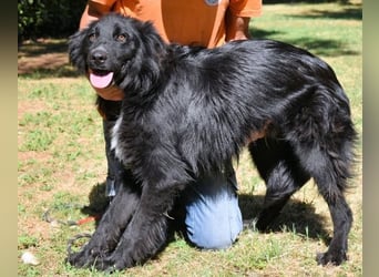 Settimio - Ich bin da, jetzt läuft's!?