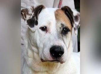 Argo - hungrig auf Leben und Er-Lebnisse