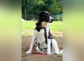 Coraggio - Schritt für Schritt ins Leben zurück