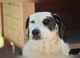 Marni - Bereit für ihr eigenes kleines Glück