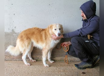 Tirvian - Kurz Alarm, dann Charme