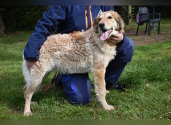 Ligorio - Zwölf, elf, zehn ... eins - Ligorio