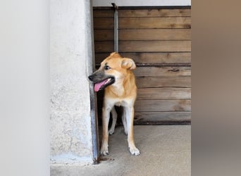 Osita - "Und wenn sie nicht weg sind.....