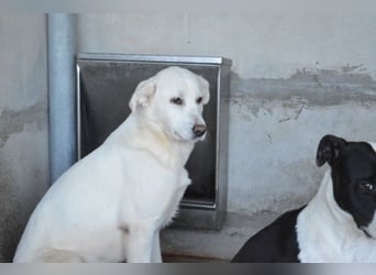 Cyra - Cyra, bald bist auch Du dran!