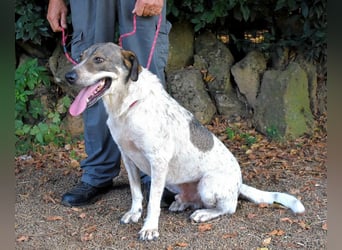 Helder - spricht für sich