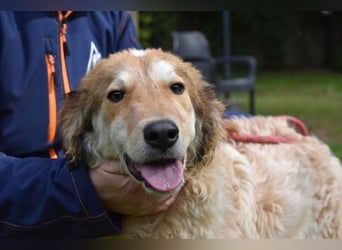 Ligorio - Zwölf, elf, zehn ... eins - Ligorio