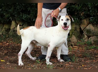 Argo - hungrig auf Leben und Er-Lebnisse