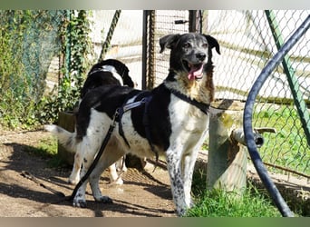 Cambiamento - lasst uns sein Leben verändern