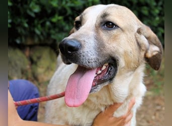 Solidea - 744 Stunden