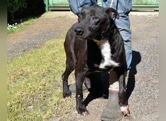 Rhino - NOTFALL !!! - Wenn man nicht auffällt, geht man unter